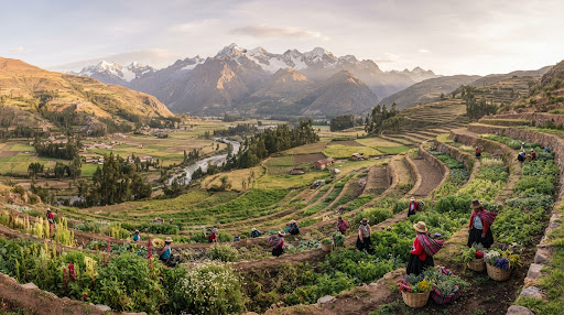 Valle Sagrado: terrazas de Calca con montañas andinas